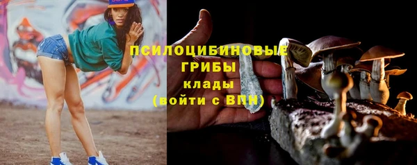 каннабис Няндома