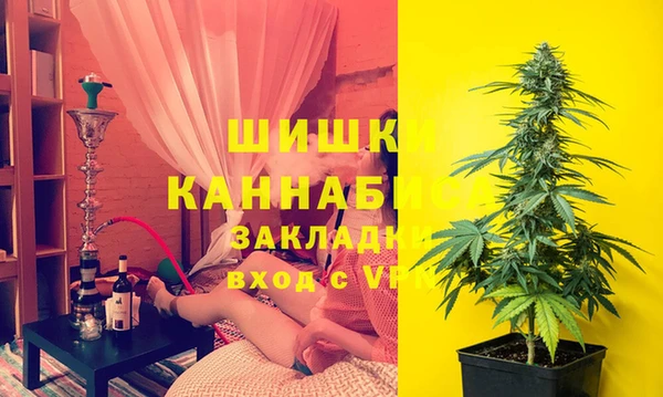 СК Нягань