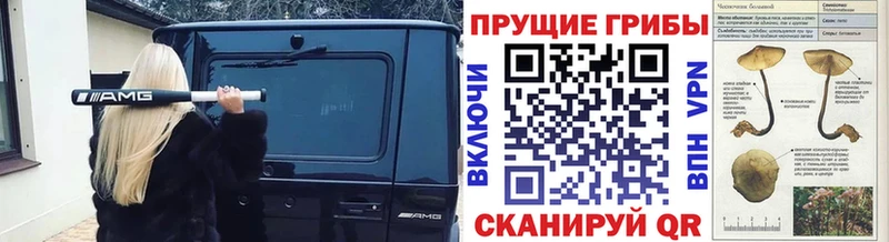 Псилоцибиновые грибы прущие грибы  Купить где  Томилино 